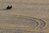 Santa Monica beach