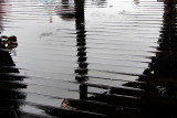 le plancher mouillé du Pier 39