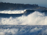 Vagues californiennes