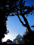 Conservatory of flowers - San Francisco