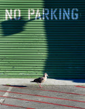 No Parking