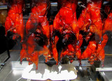 canards laqués - Chinatown San Francisco