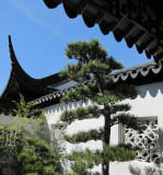 jardin chinois