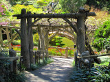 arrive au jardin japonais