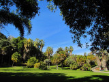 Une partie des Huntington garden