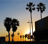 Soirée à Venice beach
