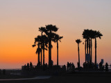 L'oasis de Venice