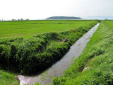 canal dirrigation