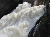 L'eau blanche de la rivière du Loup