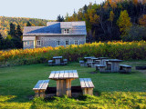 Près de la ferme Rioux