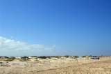 Boca Chica Beach Dunes