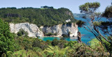 Coromandel2.jpg