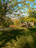 October garden