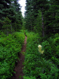 Another wet day along the trail