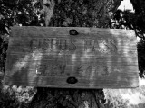 Vintage PCT trail sign 2008, Cispus Pass, over 30yrs old