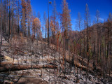 Elk Creek Fire 10-1-2008