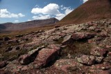 Lichen covered rock formation