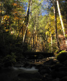 Little Grider creek in the fall