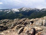 Kelly on her first hike on the PCT near Castle Crags
