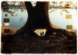 Josiahs  Tree and Cave photo unmasked