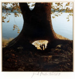 Josiahs  Tree and Cave