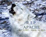 RIP APACHE