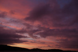 DSC_0118 copy.jpg