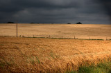 17th August 2008 <br> threat of a shower
