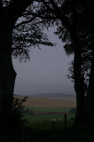 19th August 2008 <br> drizzle