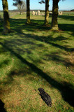 19th April 2009 Cullerie stones