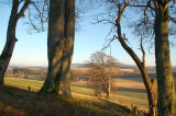 6th December 2009 <br> winter sun