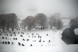 9th January 2010 <br> grave mistake
