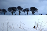27th February 2010 northeasterly