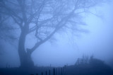 25th March 2010 <br> fog