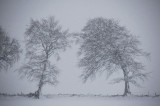 31st March 2010 <br> not going anywhere