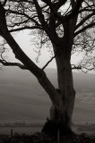 20th November 2007 <br> further rain