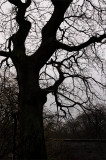 30th November 2007 <br> further rain