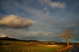 1st December 2007 <br> sunshine