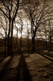 3rd December 2007 pale warmth