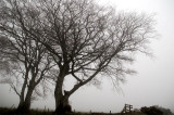 4th December 2007 wintry