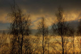 15th December 2007 <br> arriving before dark