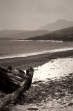 23rd March 2008 <br> snow on the beach