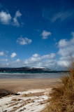 DSC_0131 copy.jpg
