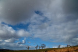 DSC_0290 copy.jpg