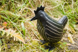 Chook