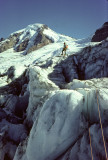 Coleman Glacier, Mt. Baker