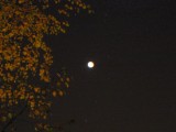 DeBilt, Mooneclipse, 9 november 2003, 01:31 UT