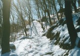 Miyun Sietse Snow