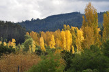 DSC_2347.800.jpg