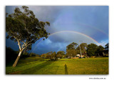 Miscellaneous shot around Australia